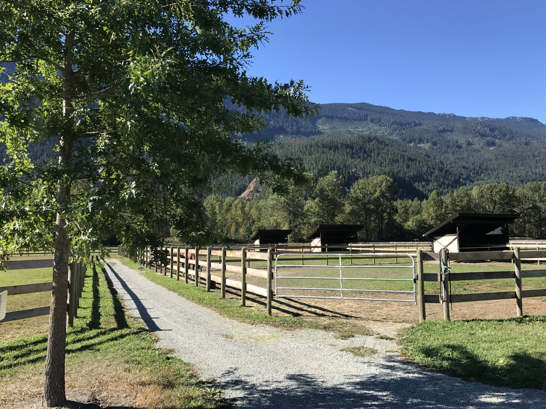 Horse Boarding at Riverlands Equestrian Facility near Whistler BC